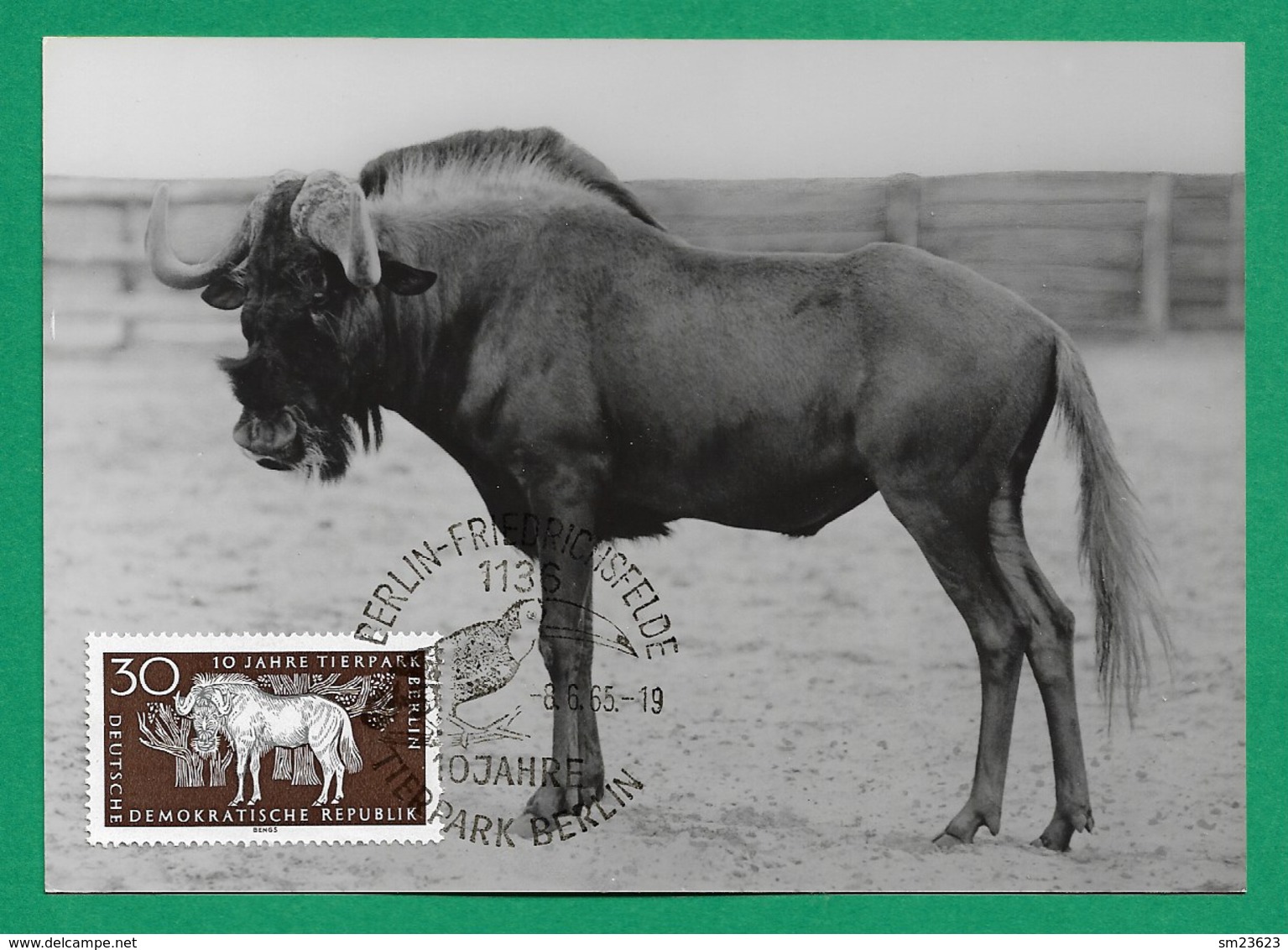 DDR 1965  Mi.Nr. 1095 , 10 Jahre Tierpark Berlin - Weißschwanzgnu - Maximum Card - Echt Foto - Berlin -8.-6.65 - Maximumkarten (MC)