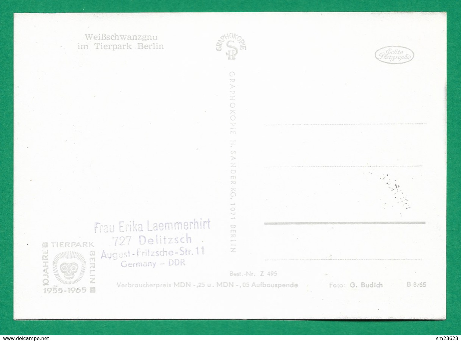 DDR 1965  Mi.Nr. 1095 , 10 Jahre Tierpark Berlin - Weißschwanzgnu - Maximum Card - Echt Foto - Berlin -8.-6.65 - Maximumkarten (MC)