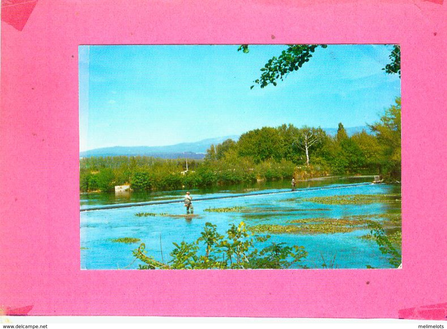 CP.  84.  L'ISLE  SUR  SORGUE.  LA  SORGUE  AUX  ESPELUGUES - L'Isle Sur Sorgue