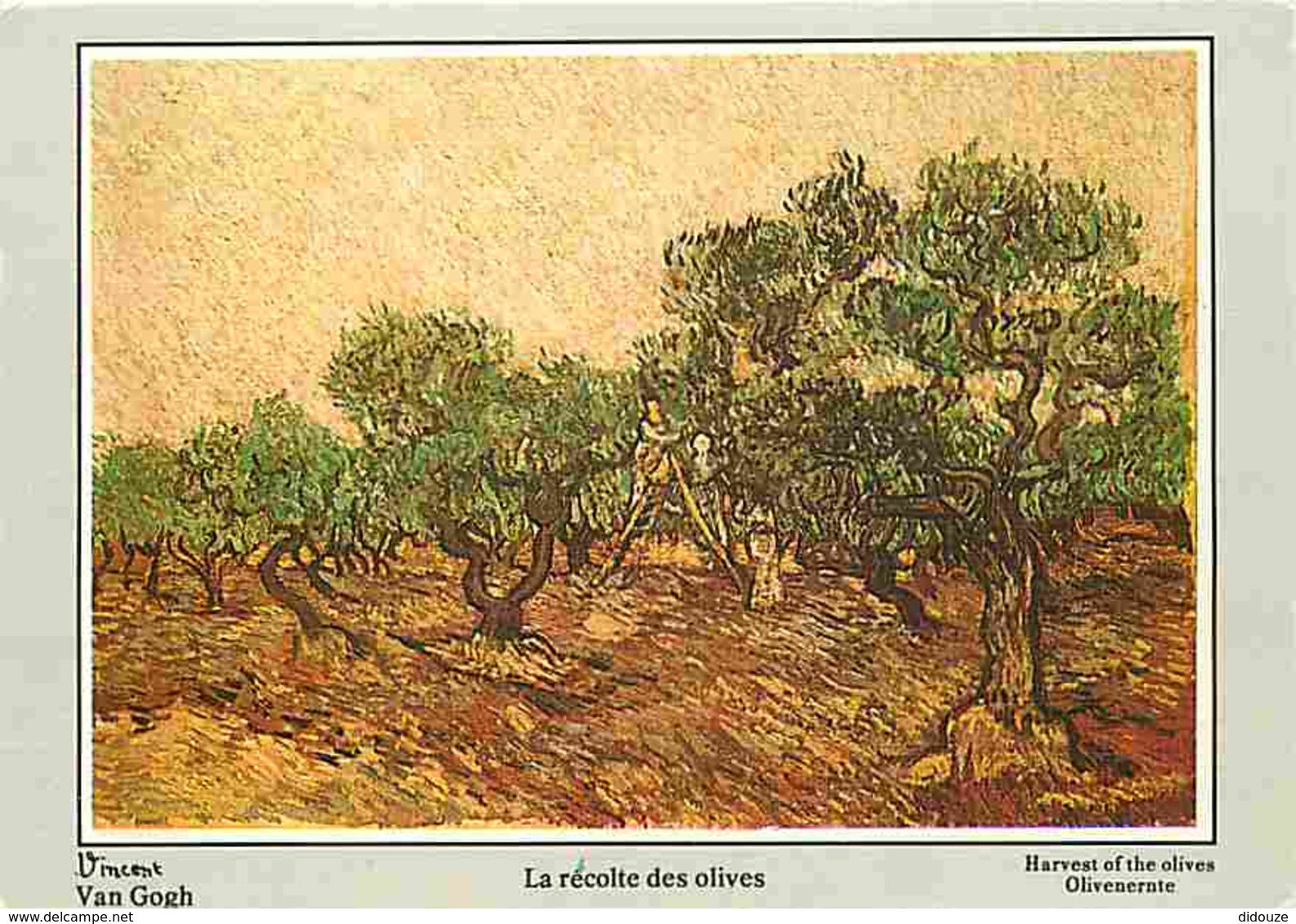 Art - Peinture - Vincent Van Gogh - La Récolte Des Olives - Carte Neuve - Voir Scans Recto-Verso - Pittura & Quadri