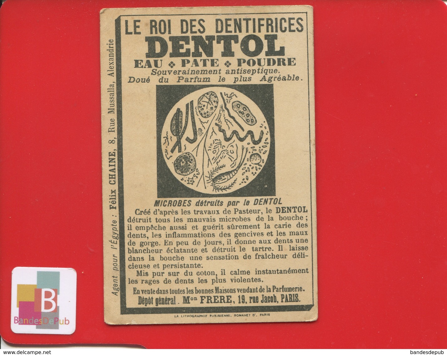Dentol Dentifrice Dent Dentiste Jolie Chromo Romanet  Poste Au Transwaal Timbre Cavalier Dos Microbes  Agent Egypte - Other & Unclassified
