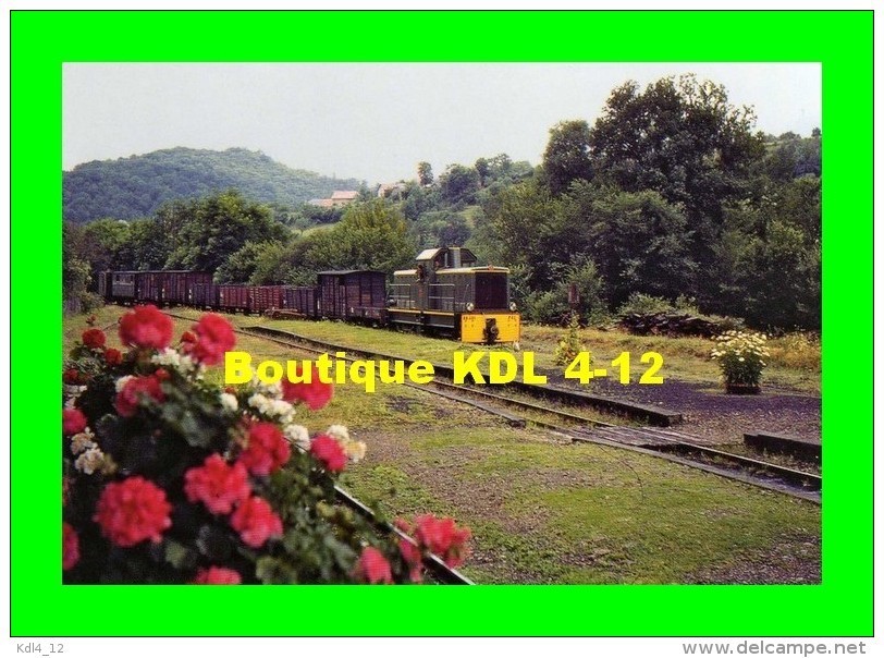 AL 356 - Train MV - Locotracteur CFD N° BB 401 En Gare - SAINT-BONNET AVALOUZE - Corrèze - POC - Eisenbahnen