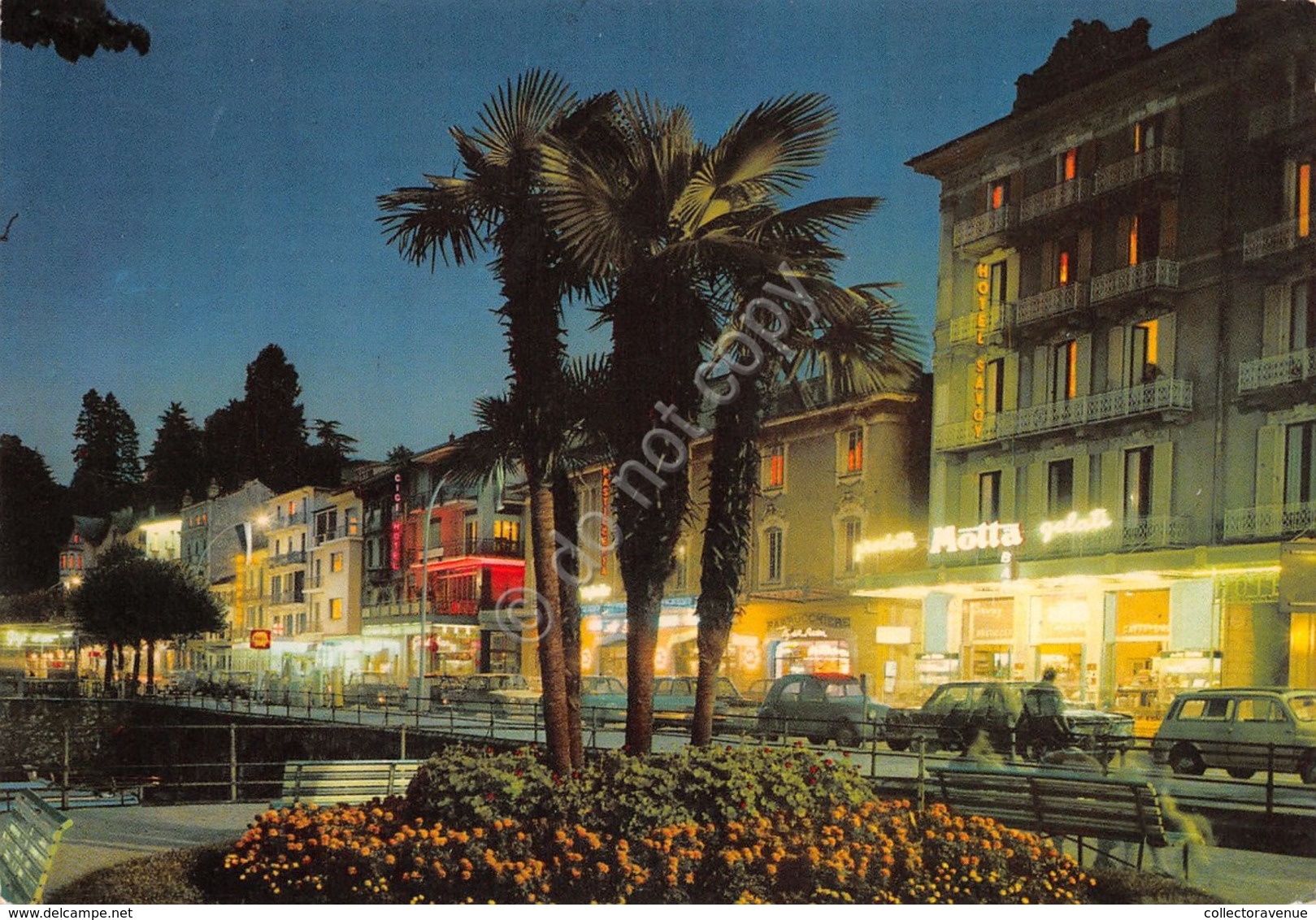 Cartolina Stresa Panorama Notturno Hotel Savoy Pubblicità Motta - Verbania