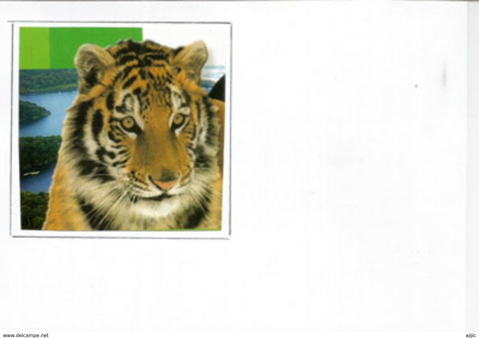 Amur Tiger & White Tiger (Save Vanishing Species) WWF. Maximum-card USA - Big Cats (cats Of Prey)