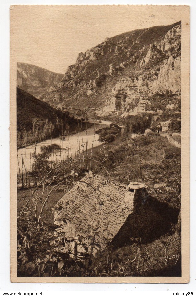 Gorges Du Tarn -- Près LA MALENE -- Les Gorges  .....timbre ..... Cachet  LES VIGNES -48......à Saisir - Gorges Du Tarn