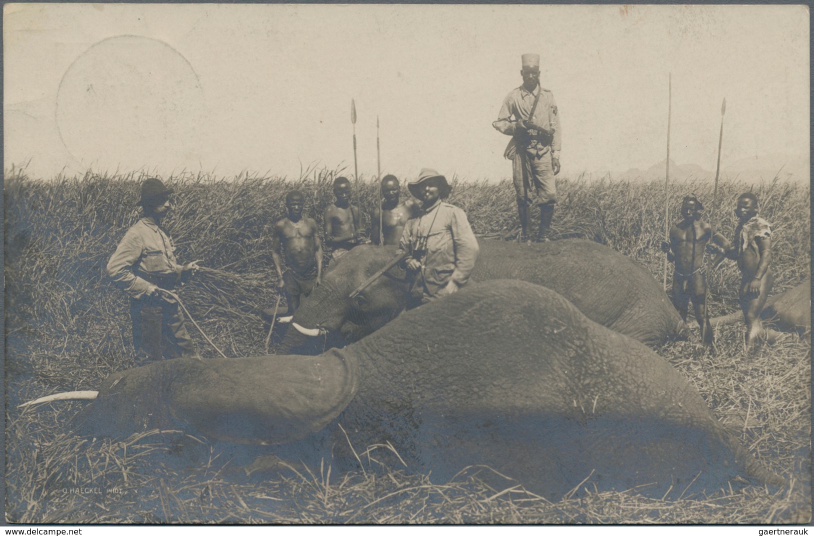 Deutsch-Ostafrika - Ganzsachen: 1908, Private Ganzsachenpostkarte Wst. 2½ Heller Kolonialschiffszeic - Duits-Oost-Afrika