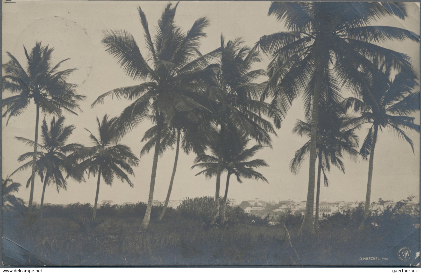 Deutsch-Ostafrika - Ganzsachen: 1908. Privat-Postkarte 2½ Heller Schiffstype Mit Rs. Foto-Abbildung - Deutsch-Ostafrika
