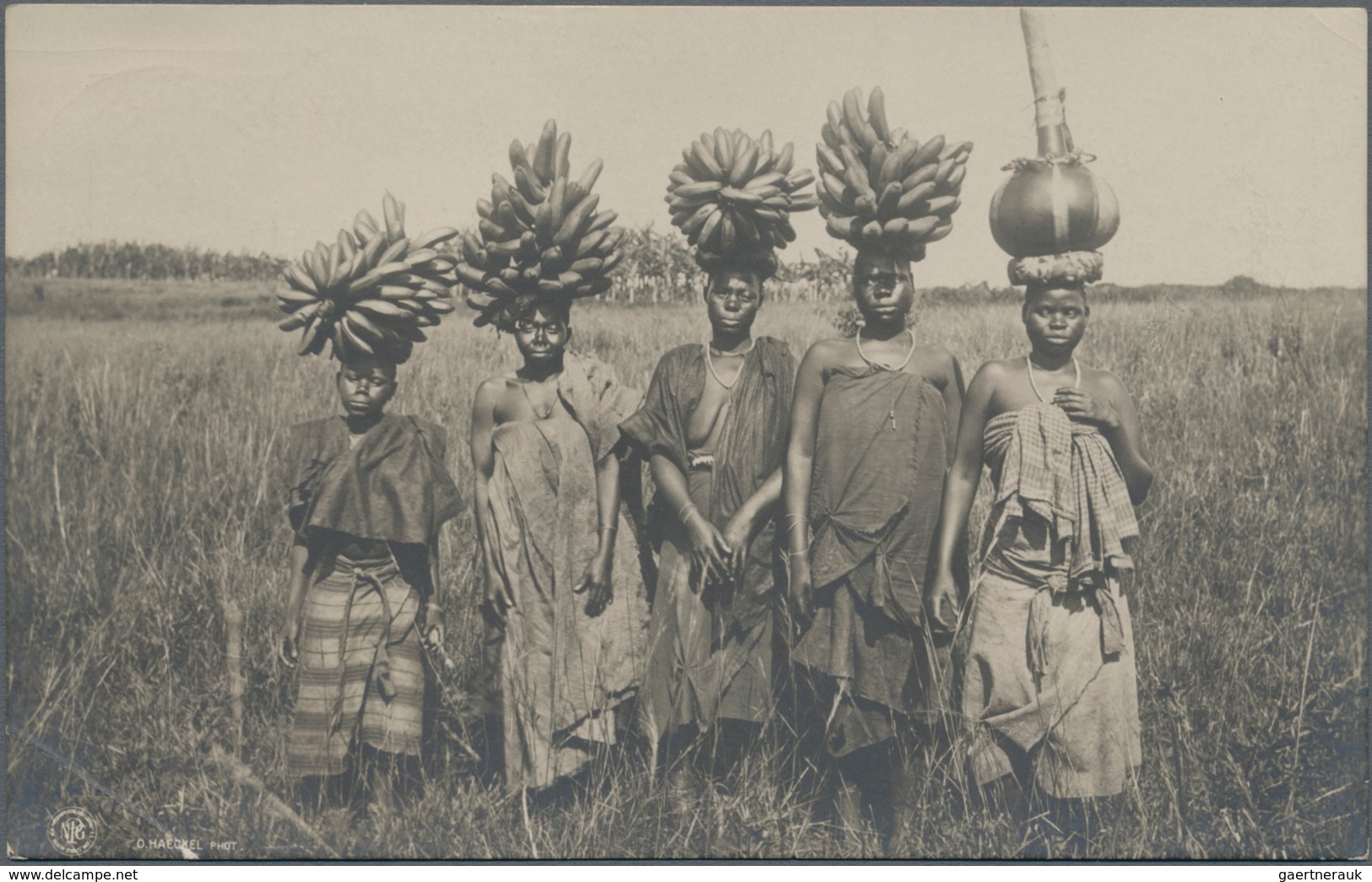 Deutsche Kolonien - Togo - Ganzsachen: 1908. Privat-Postkarte 3 Pf Schiffstype Mit Rs. Foto-Abbildun - Togo