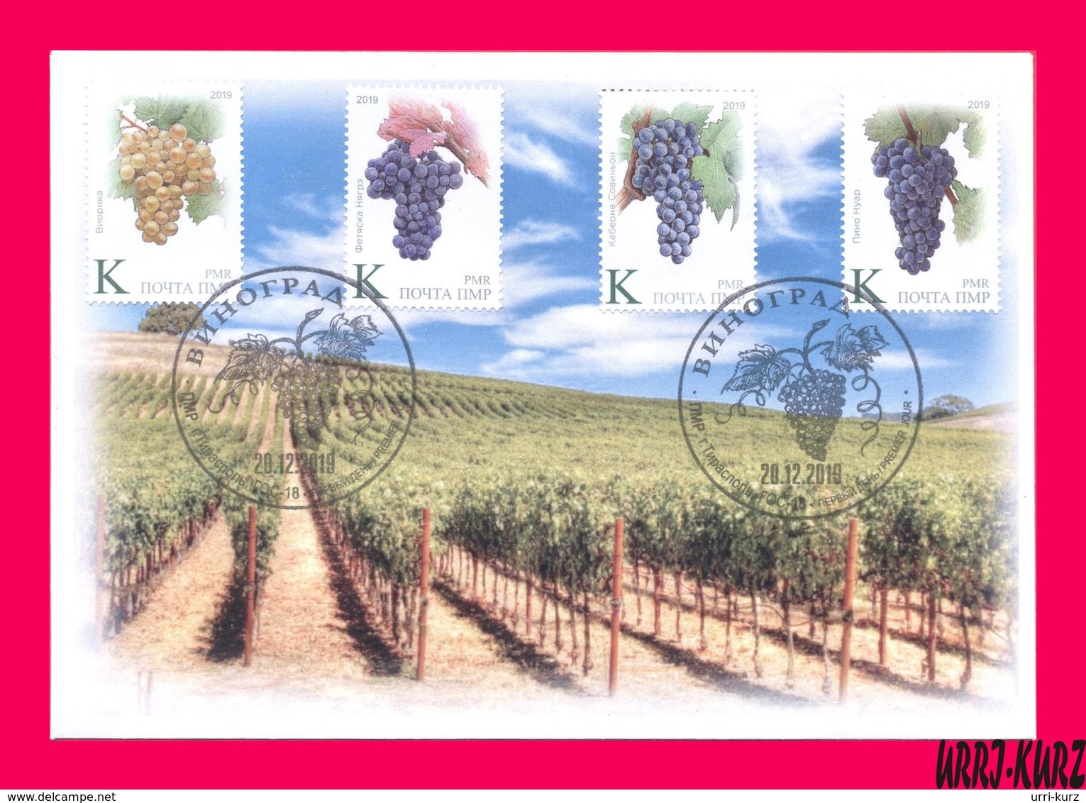 TRANSNISTRIA 2019 Flora Fruits Agriculture Viticulture Grape Wine Winemaking Vineyards FDC - Wines & Alcohols