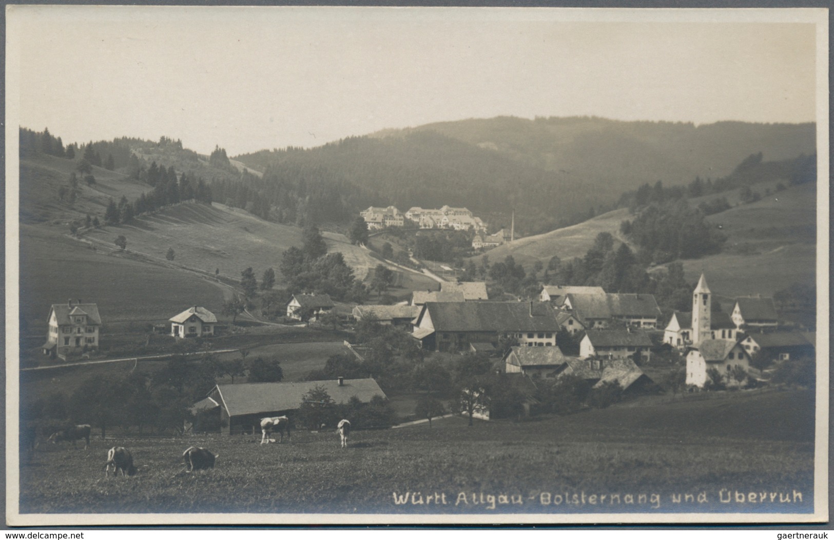 Ansichtskarten: Baden-Württemberg: RAVENSBURG, WEINGAERTEN Und WÜRTTEMBERGISCHES ALLGÄU (alte PLZ 79 - Andere & Zonder Classificatie