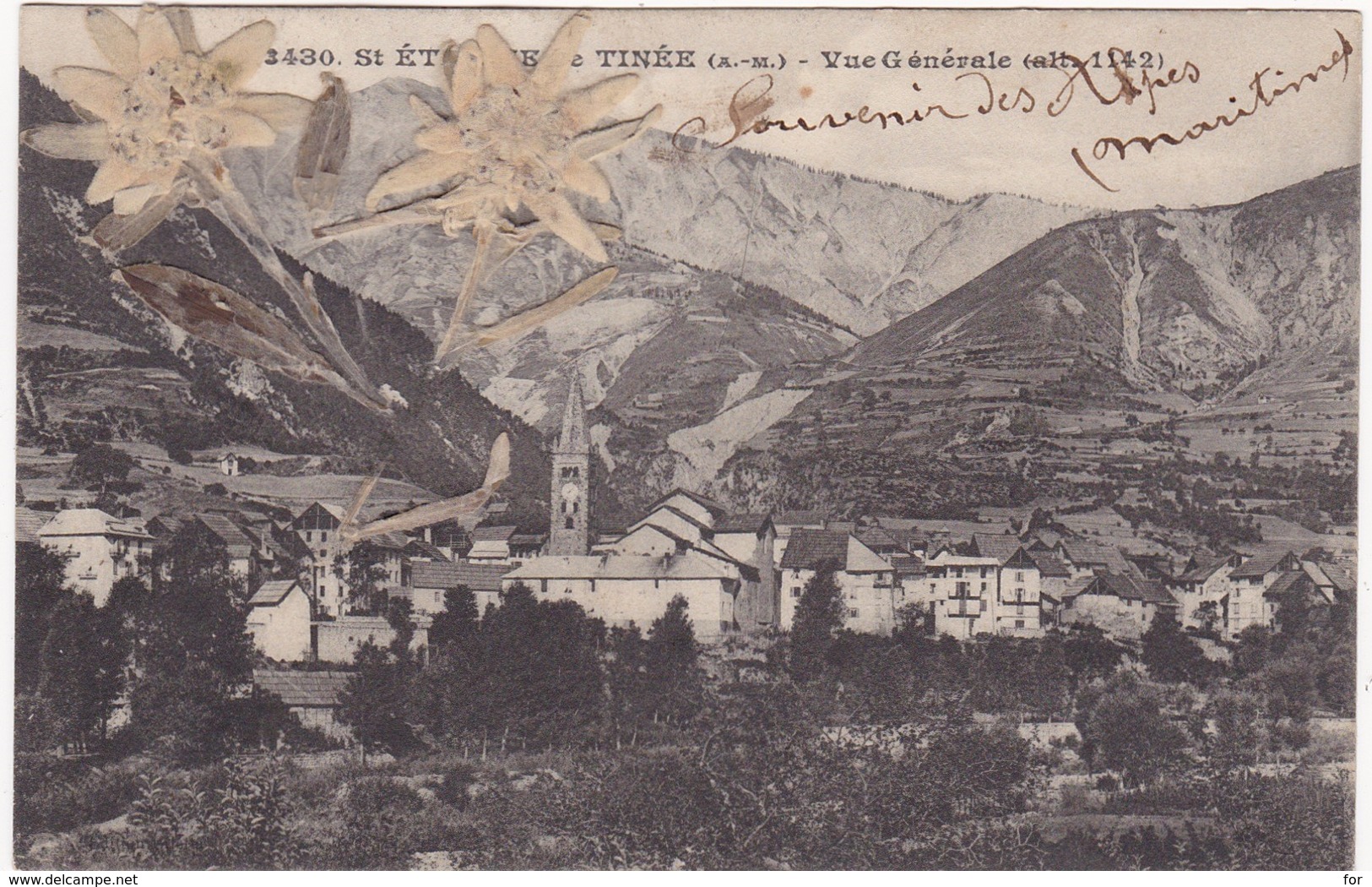 Alpes Maritimes : SAINT-ETIENNE-de-TINEE : Vue Générale -  Avec Montage Fleurs D'édelweiss De 1913 - Saint-Etienne-de-Tinée