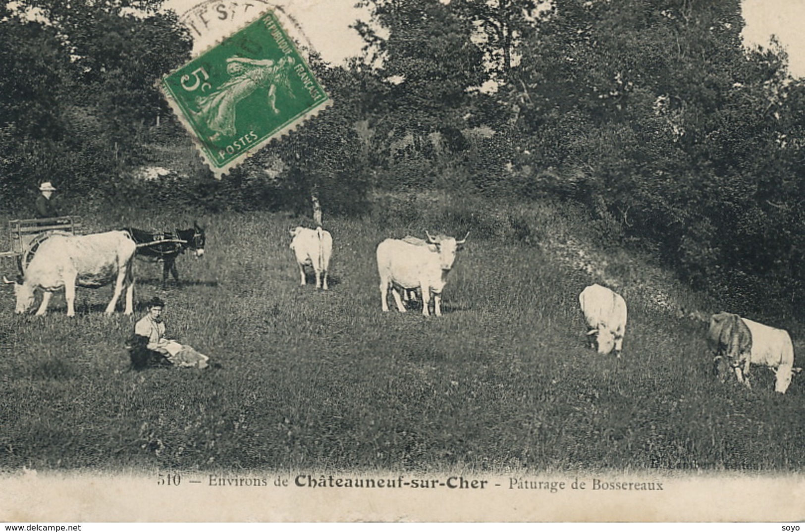 Environs Chateauneuf Sur Cher . Paturage De Bossereaux . Gardeuse De Vaches . Chien. Attelage Ane. - Chateauneuf Sur Cher