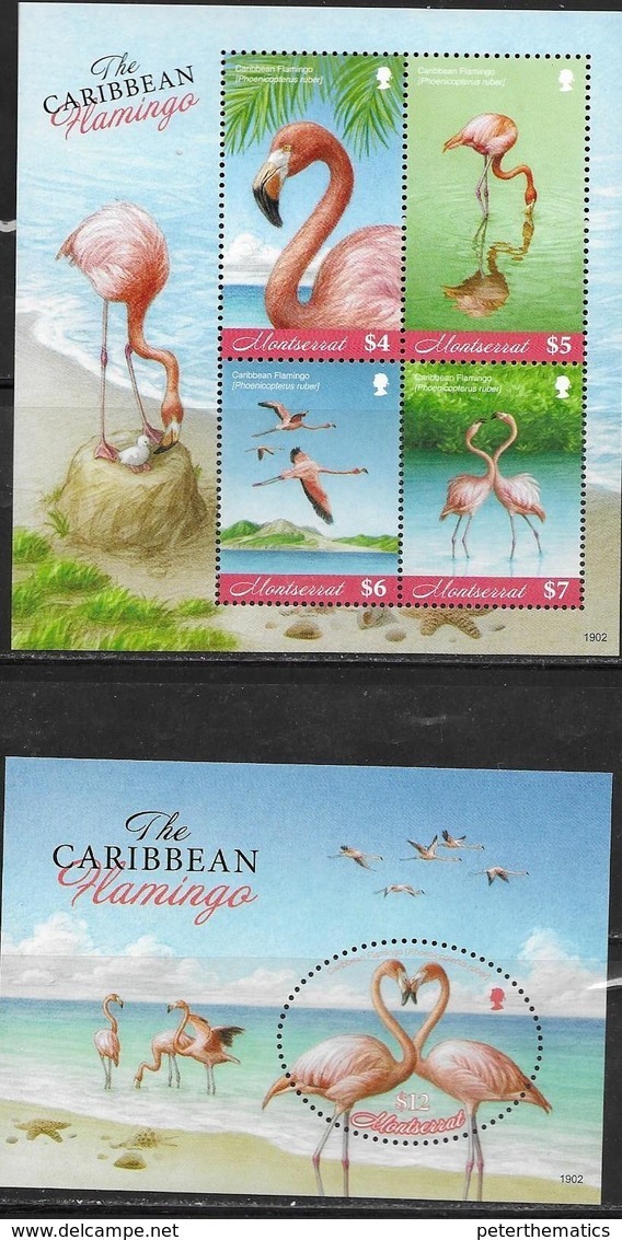 MONTSERRAT, 2019, MNH, BIRDS, FLAMINGOES, SHEETLET+S/SHEET - Flamants