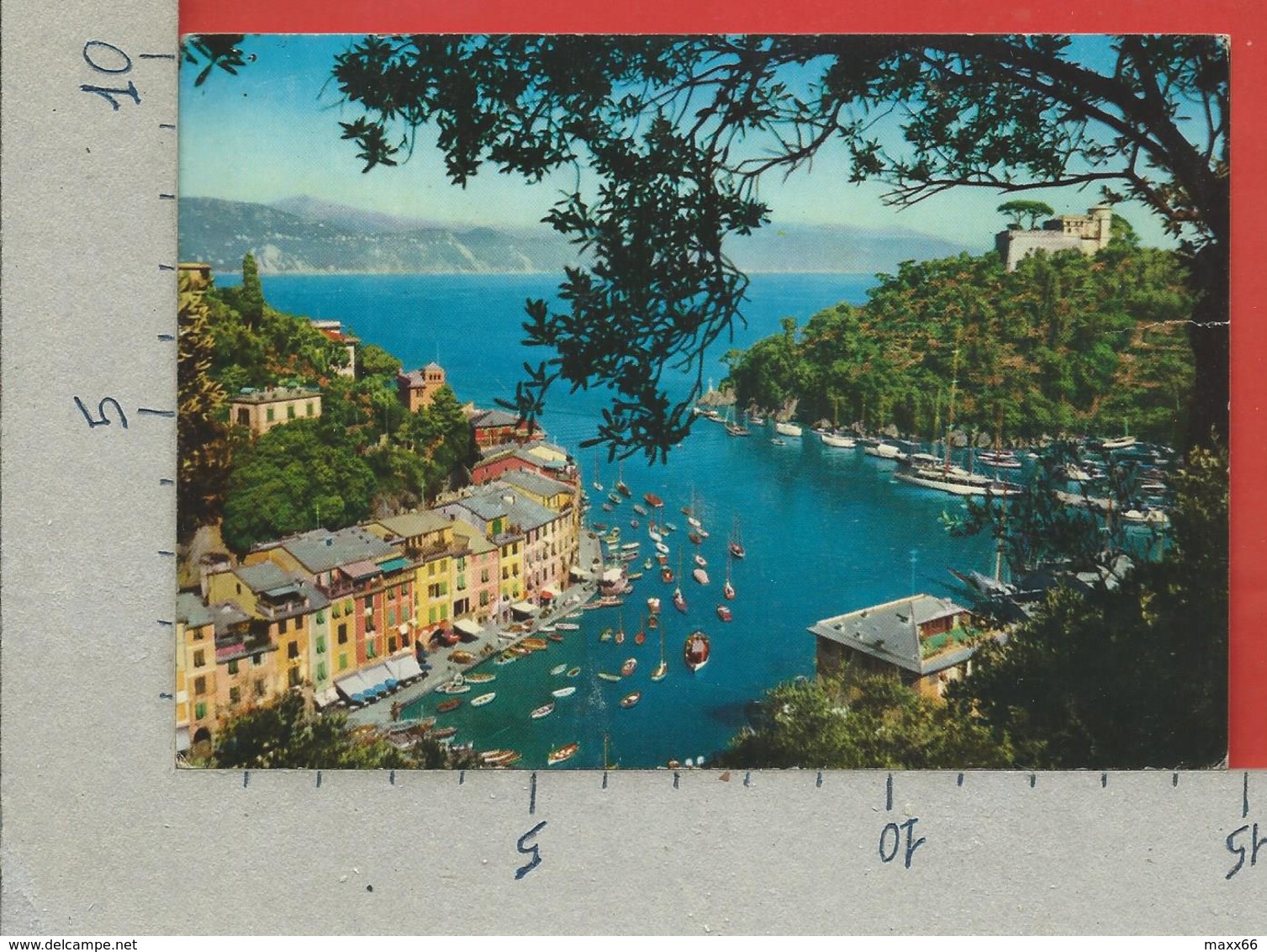 CARTOLINA VG ITALIA - PORTOFINO (GE) - Panorama Tra Gli Ulivi - 10 X 15 - 199? - Genova