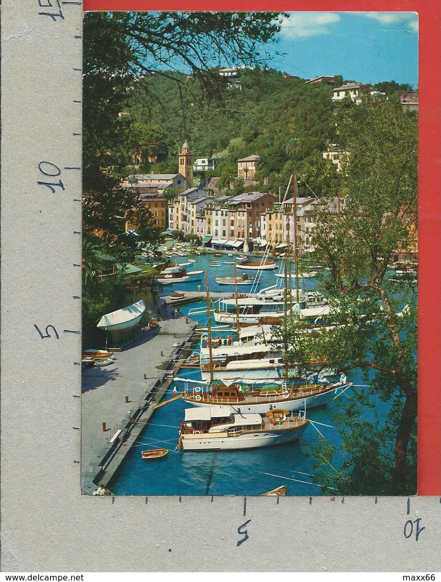 CARTOLINA VG ITALIA - PORTOFINO (GE) - Il Porticciolo - 10 X 15 - 1983 - Genova