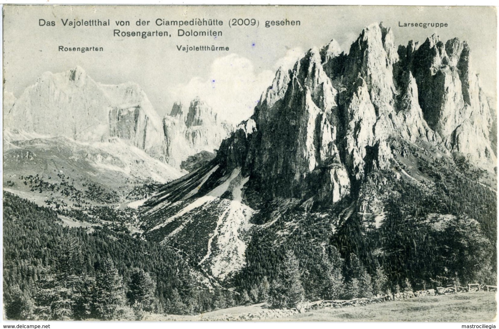 CIAMPEDIE  VAL DI FASSA  TRENTO  Catinaccio  Cima Di Larsec  Annullo Austriaco Predazzo 1921 Su Michetti 25c - Trento