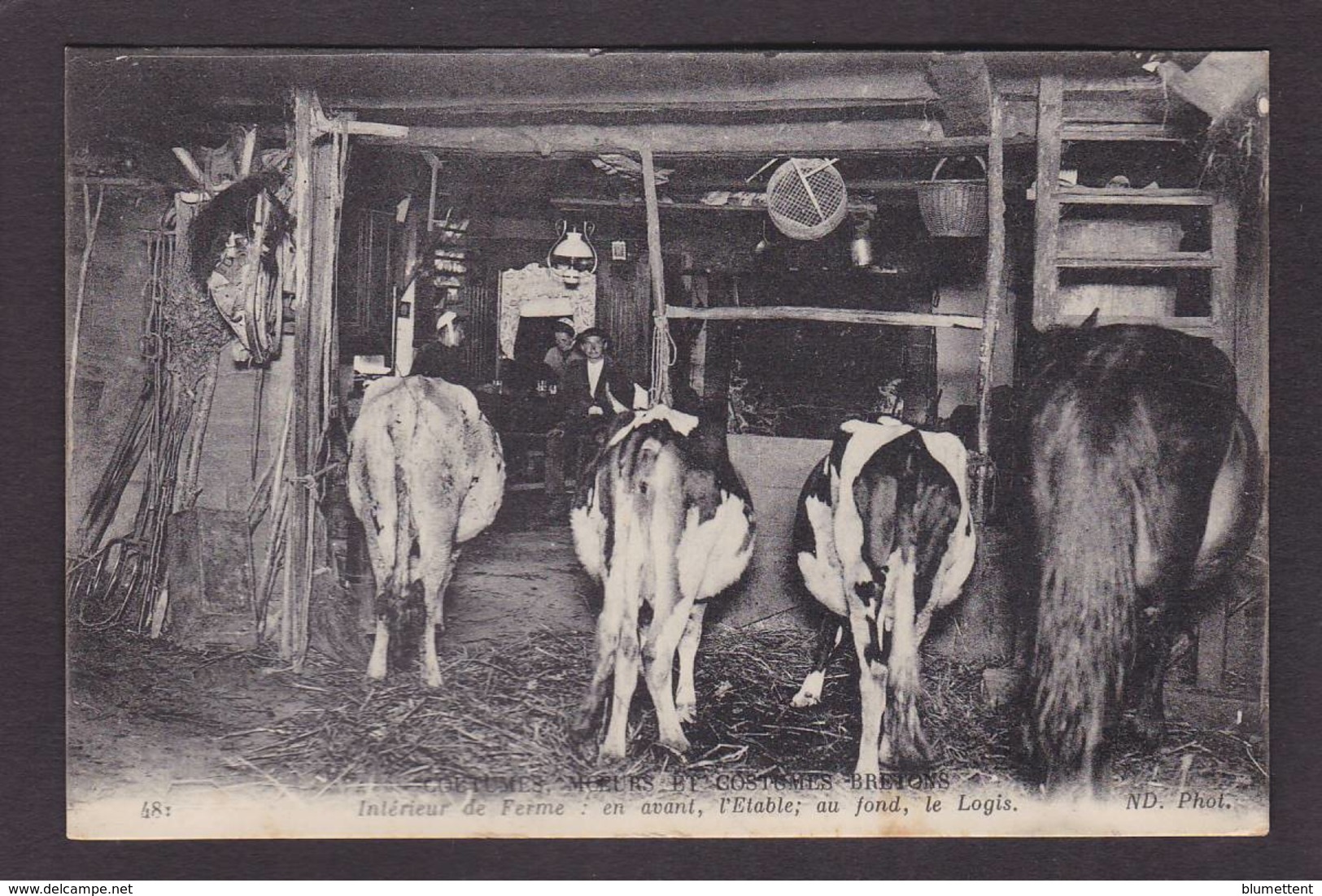 CPA Ferme Fermes à La Campagne Métier Circulé CMCB Bretagne N° 481 Vaches - Bauernhöfe