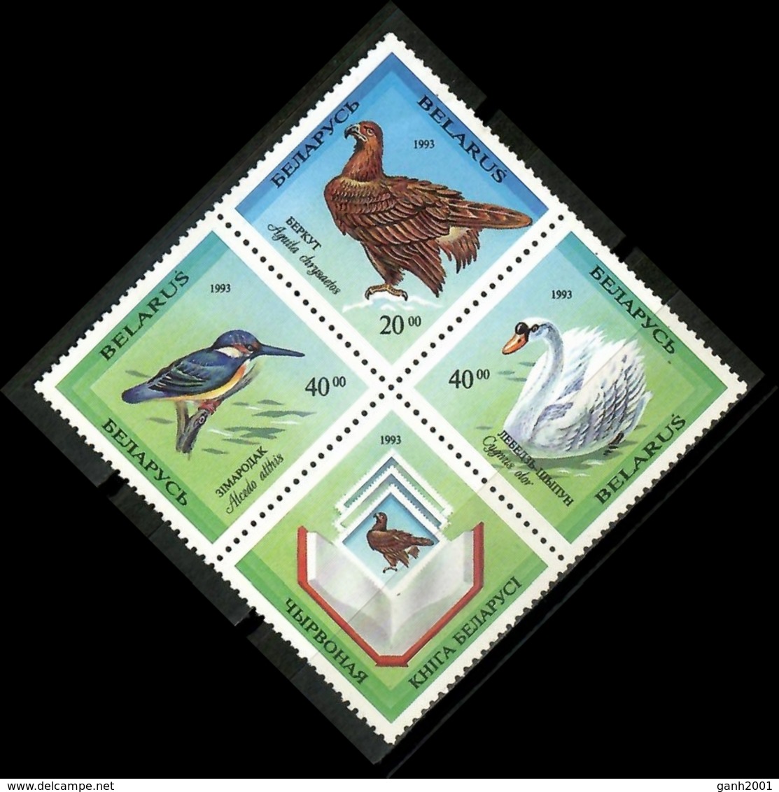 Belarus 1993 Bielorrusia / Birds MNH Aves Vögel Oiseaux Uccelli / Cu15735  40-19 - Otros & Sin Clasificación