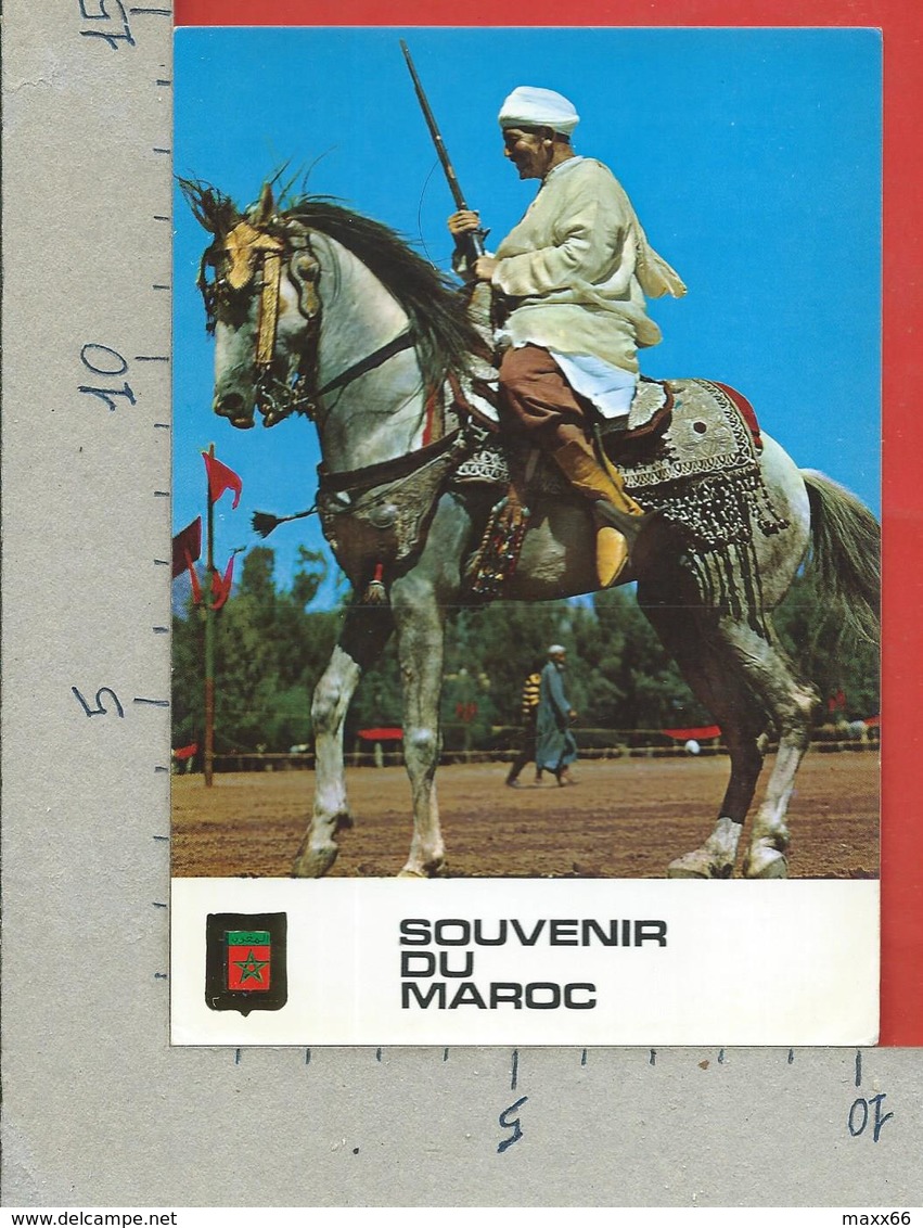 CARTOLINA NV MAROCCO - Souvenir - Cavalier Typique - 10 X 15 - Altri & Non Classificati