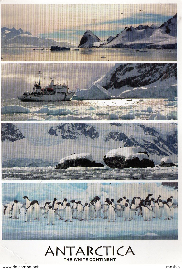 CPM  -  ANTARTICA -  ARGENTINA -  USHUAIA -  Provincia De Tierra Del Fuego - Museo Del Fin Del Mundo - Argentine