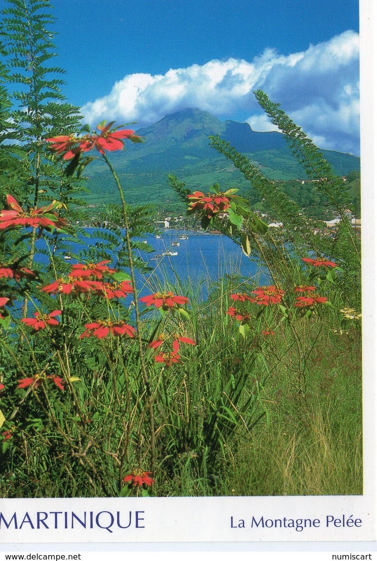 La Martinique La Montagne Pelée DOM TOM - Le Marin