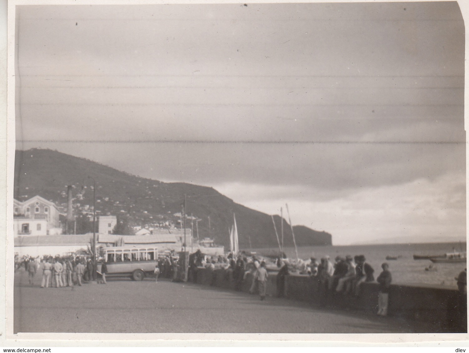 Funchal - Photo 8.5 X 11.5 Cm - Lieux