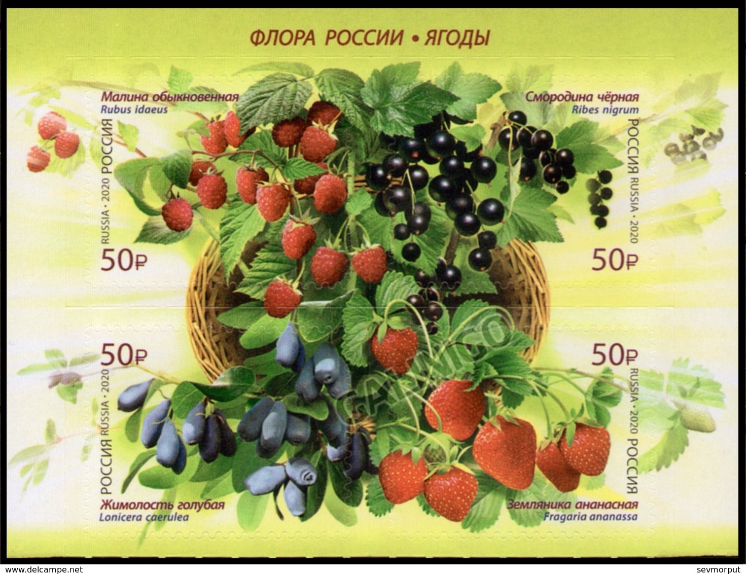 RUSSIA 2020 Stamp MNH VF ** Mi 2807-10 BERRY BERRIES BILBERRY BAIE MYRTILLE BEERE HEIDELBEERE Plant Plants FLORA 2585-88 - Nuevos