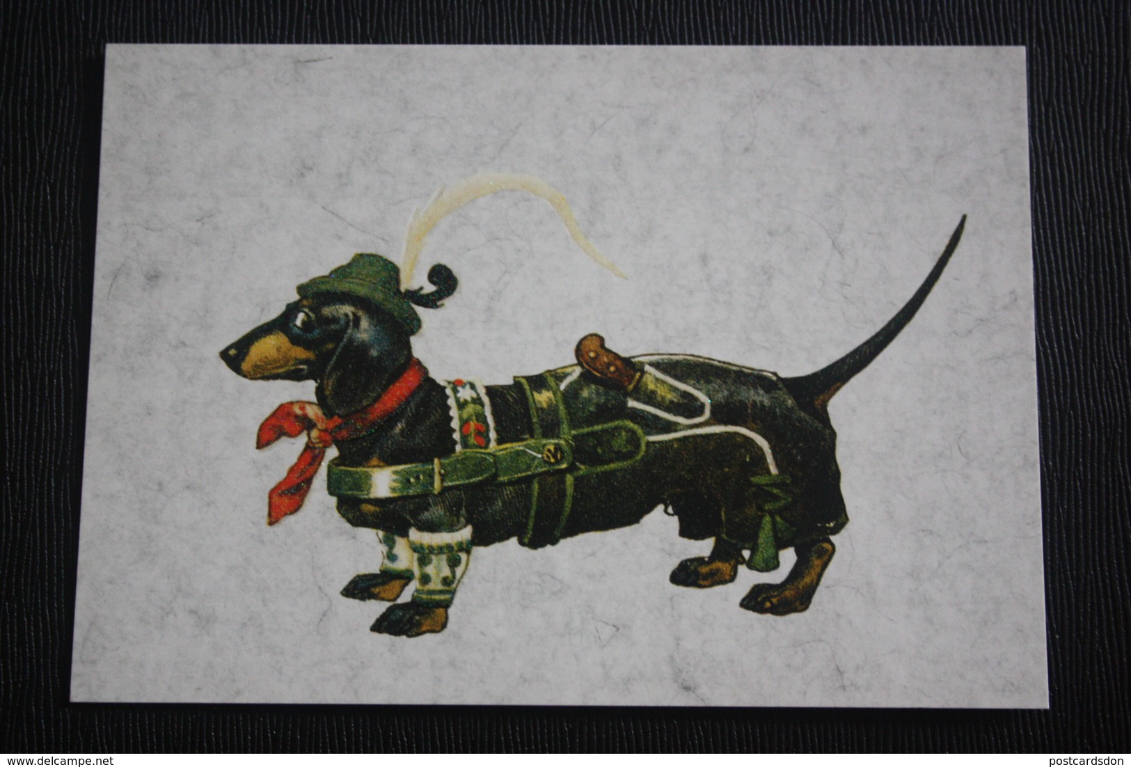 Munchen Postcard - Dachshund - Dachshound - Teckel - Dackel - Bassotto - Perros