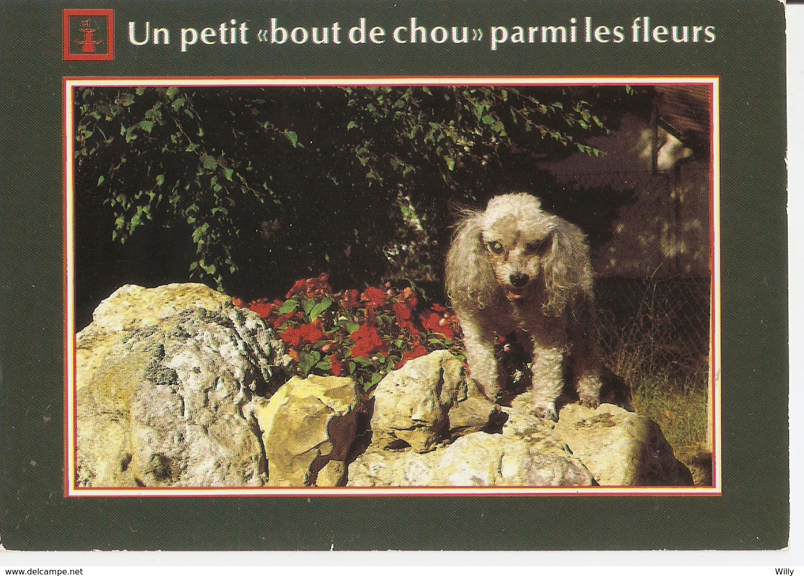 AN 572  , FANTASY POSTCARD , CPM  ,  DOGS  , - Chiens