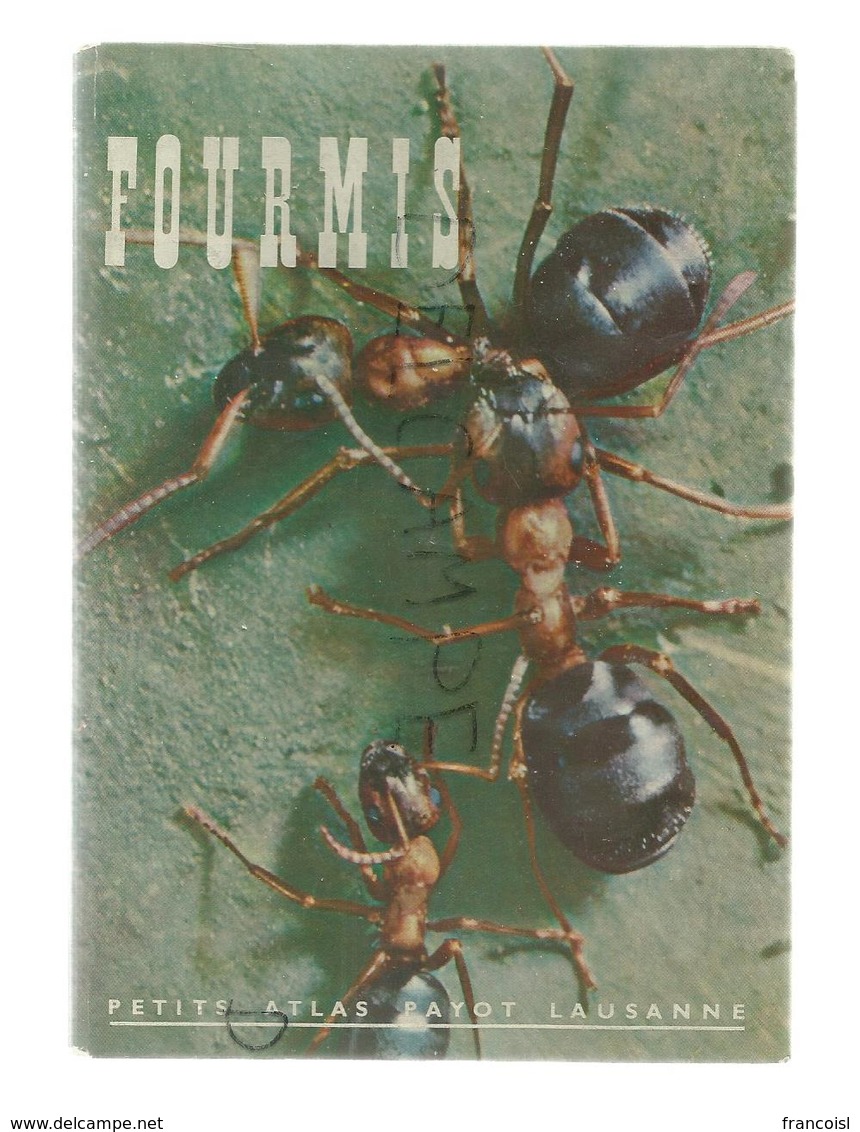 Fourmis Par Alb. Raignier. Petit Atlas Payot, Lausanne. N° 5 - Encyclopaedia