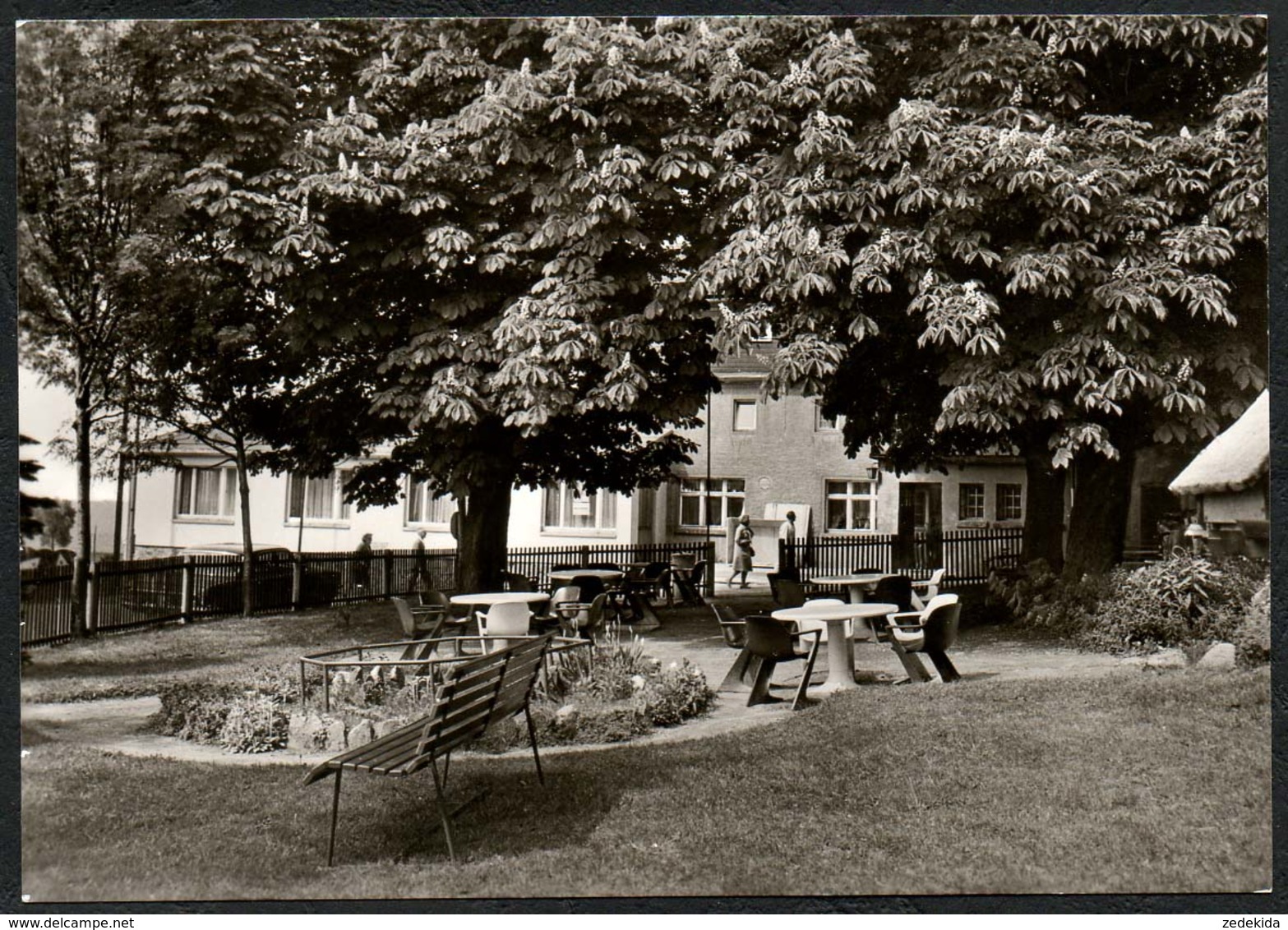 D3159 - TOP Holzhau Gaststätte Fischerbaude Kaffegarten - Bild Und Heimat Reichenbach - Holzhau