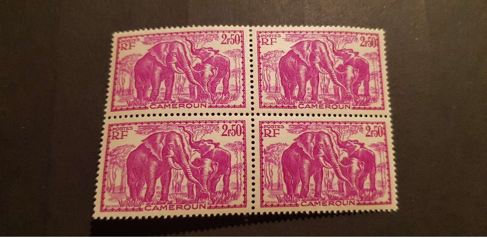 Cameroun Yvert 187** Bloc De 4  Gomme Coloniale Elephant - Neufs