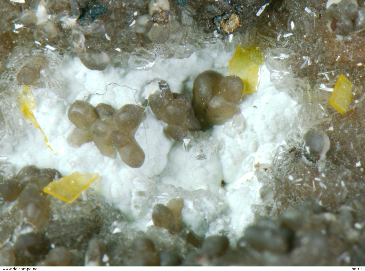Mineral - Smithsonite, Wulfenite E Idrozincite (Zorzone, Bergamo, Italia) - Lot. 210 - Minéraux