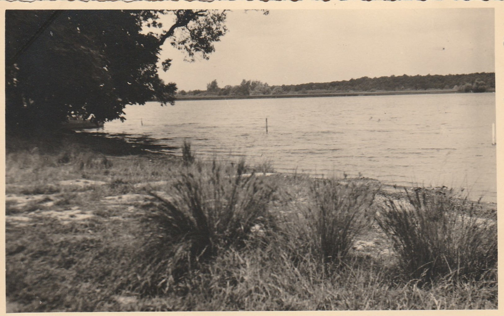 Virelles ,( Chimay  ),  Lac  , PHOTOCARTE   Juin  1952 ,  ( UNIQUE ) - Chimay