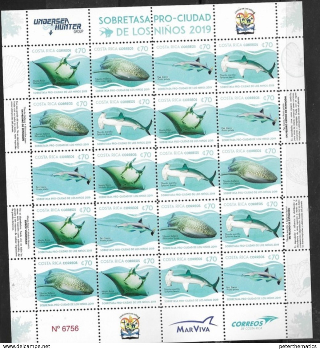 COSTA RICA, 2019, MNH, CHILDREN'S WELFARE ,MARINE LIFE, SHARKS, HAMMERHEAD SHARKS, WHALE SHARKS,  RAYS, SLT OF 5 SETS - Peces