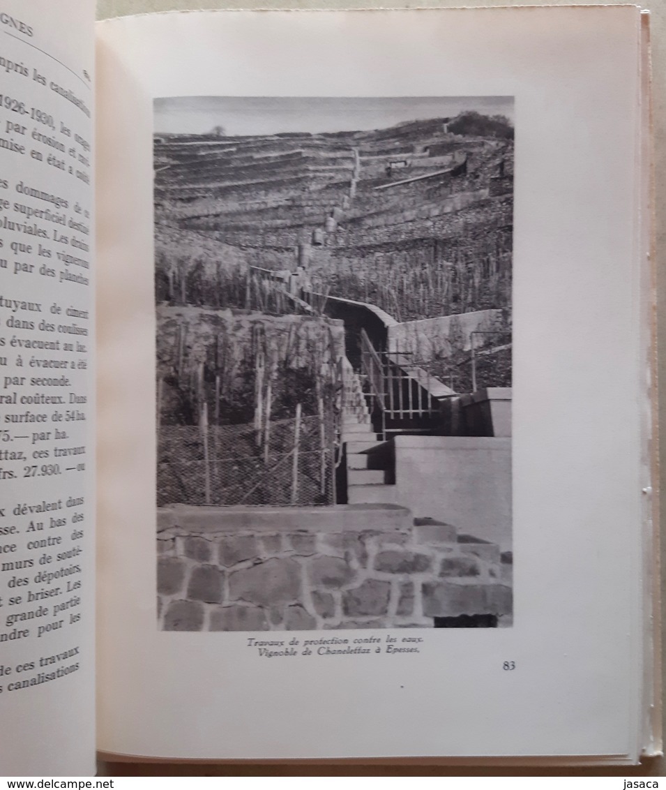 Le Vin De Nos Vignes - Ed. SPES Lausanne (Riez, Chexbres, Épesses, Le Vignoble De Chenalettaz, Yvorne, Etc.) - History