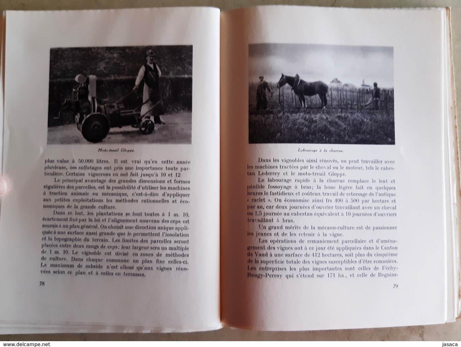 Le Vin De Nos Vignes - Ed. SPES Lausanne (Riez, Chexbres, Épesses, Le Vignoble De Chenalettaz, Yvorne, Etc.) - History