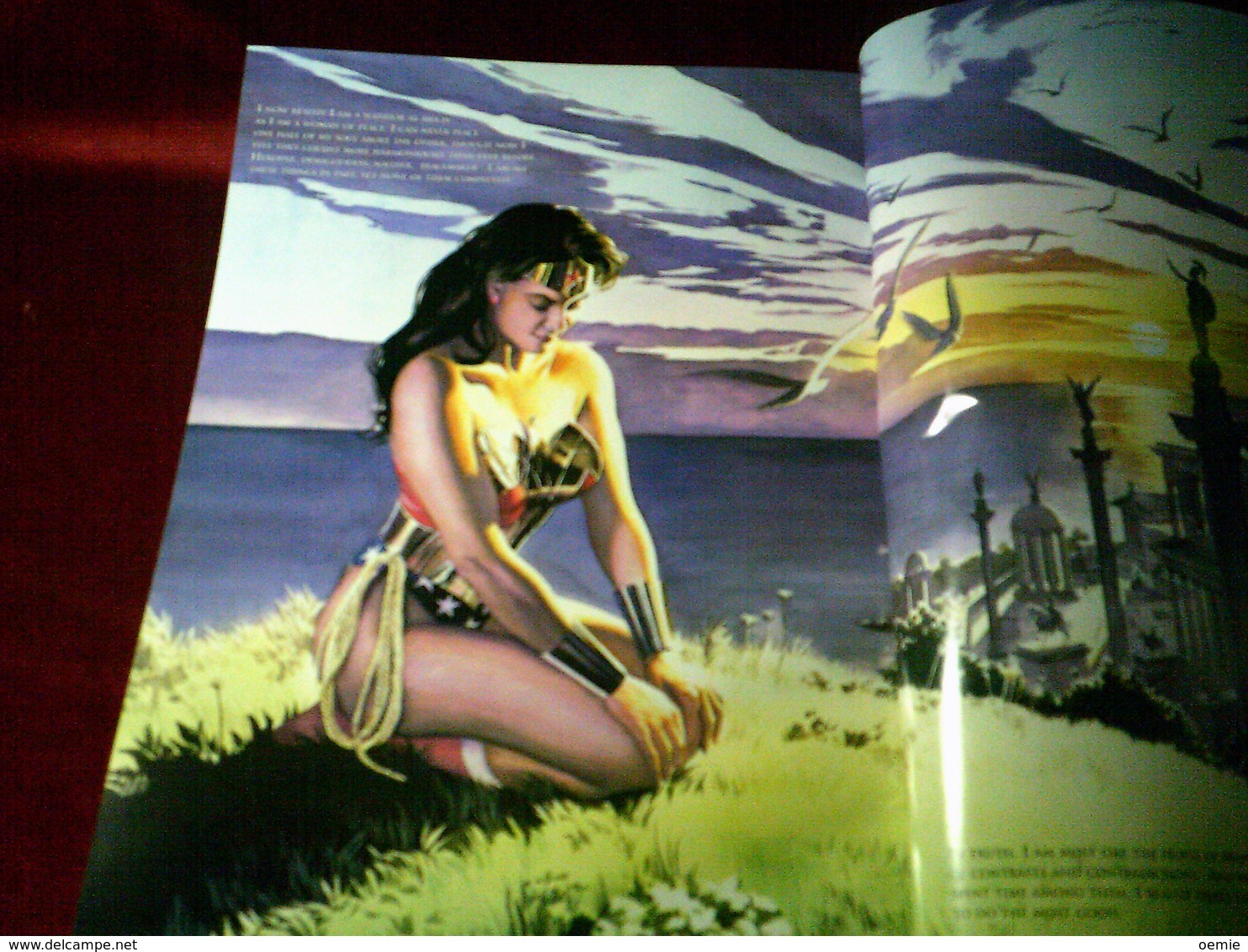 WONDER WOMAN  SPIRIT OF TRUTH - Sammlungen