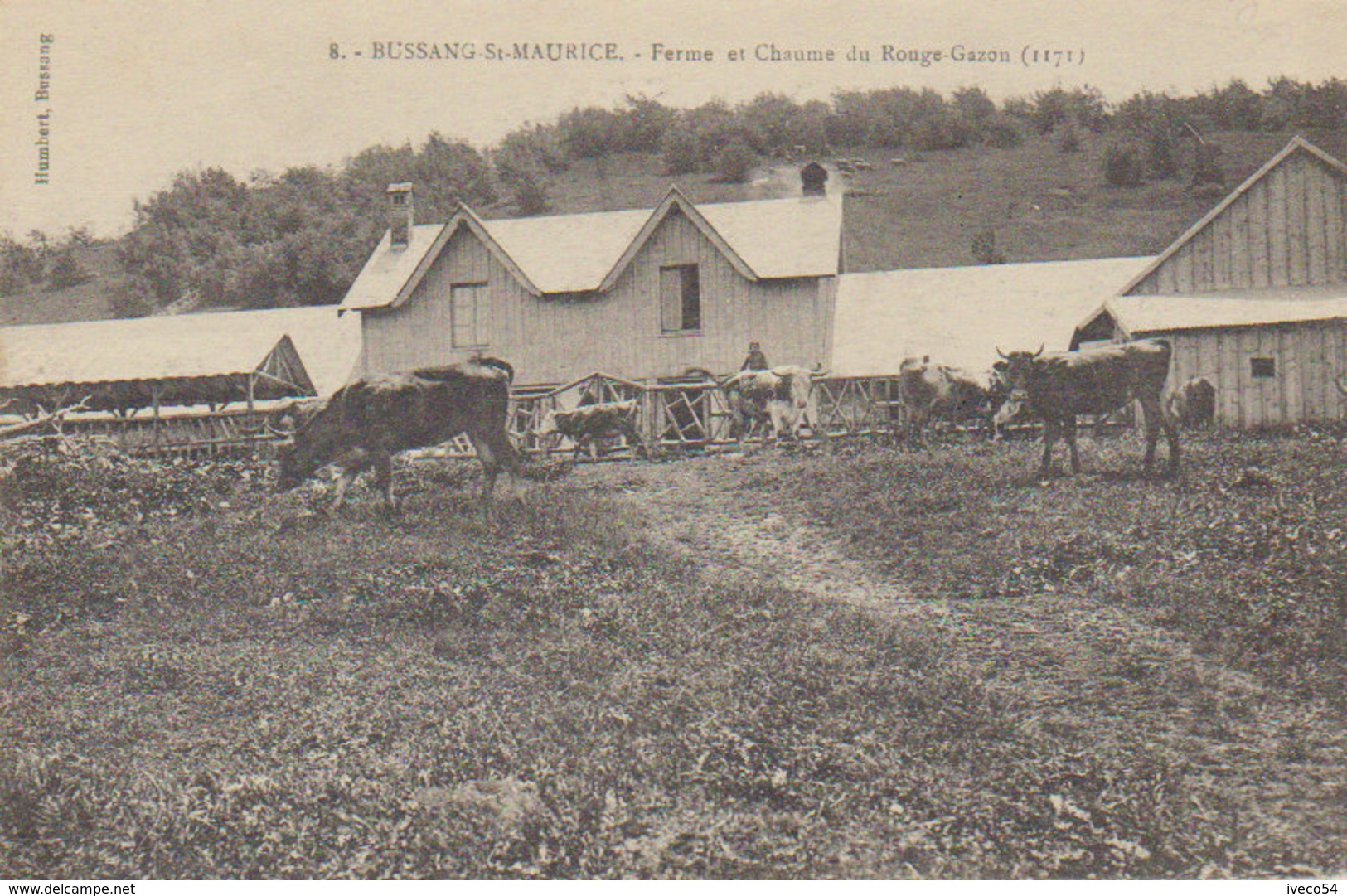 88 - 1915 - Bussang St Maurice  " Ferme Et Chaume Rouge Gazon  " - Bussang