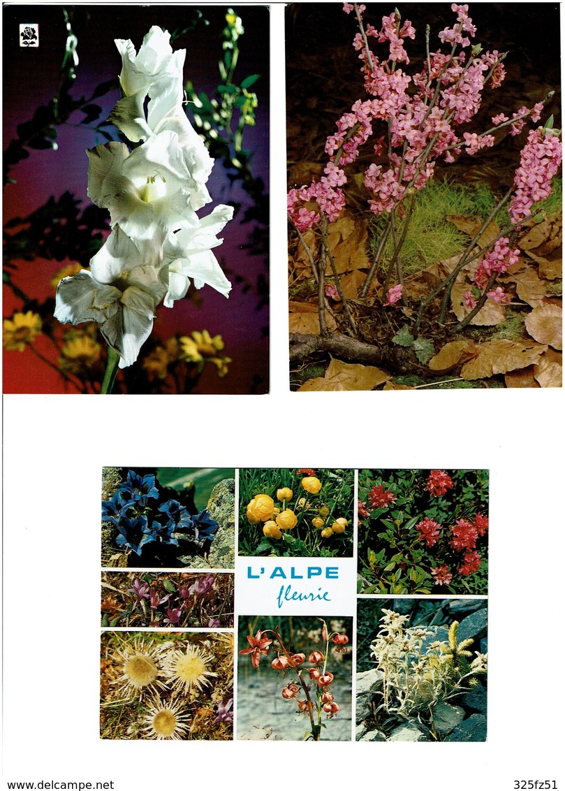 FLEURS / Lot De 90 Cartes Postales Modernes Neuves - 5 - 99 Cartes