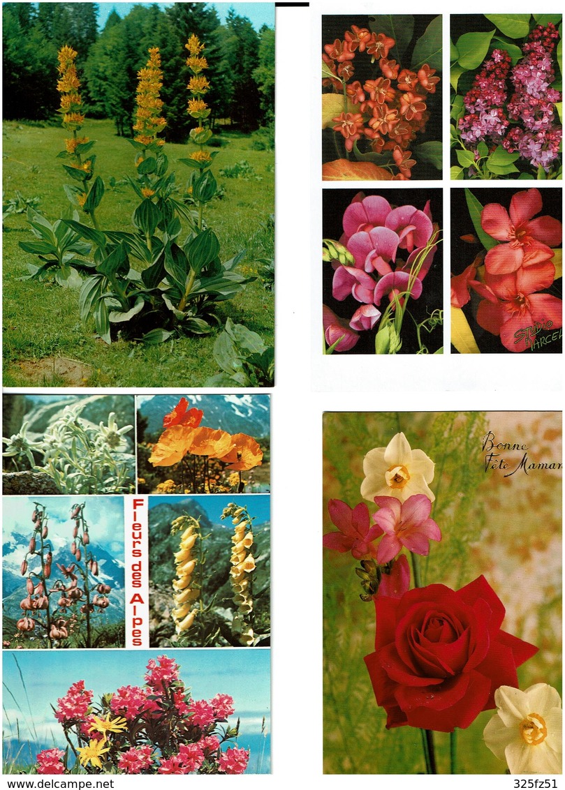 FLEURS / Lot De 90 Cartes Postales Modernes Neuves - 5 - 99 Cartes