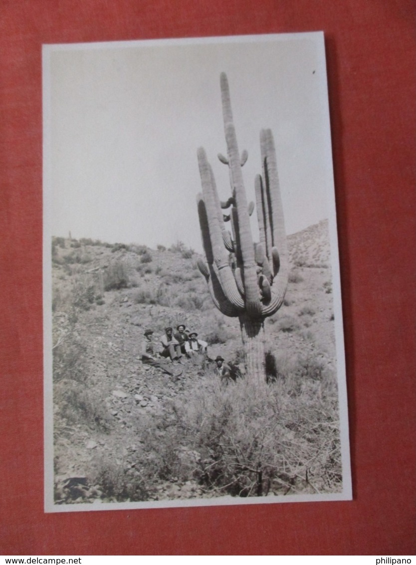 RPPC  Men By Cactus  Ref  3855 - Cactusses