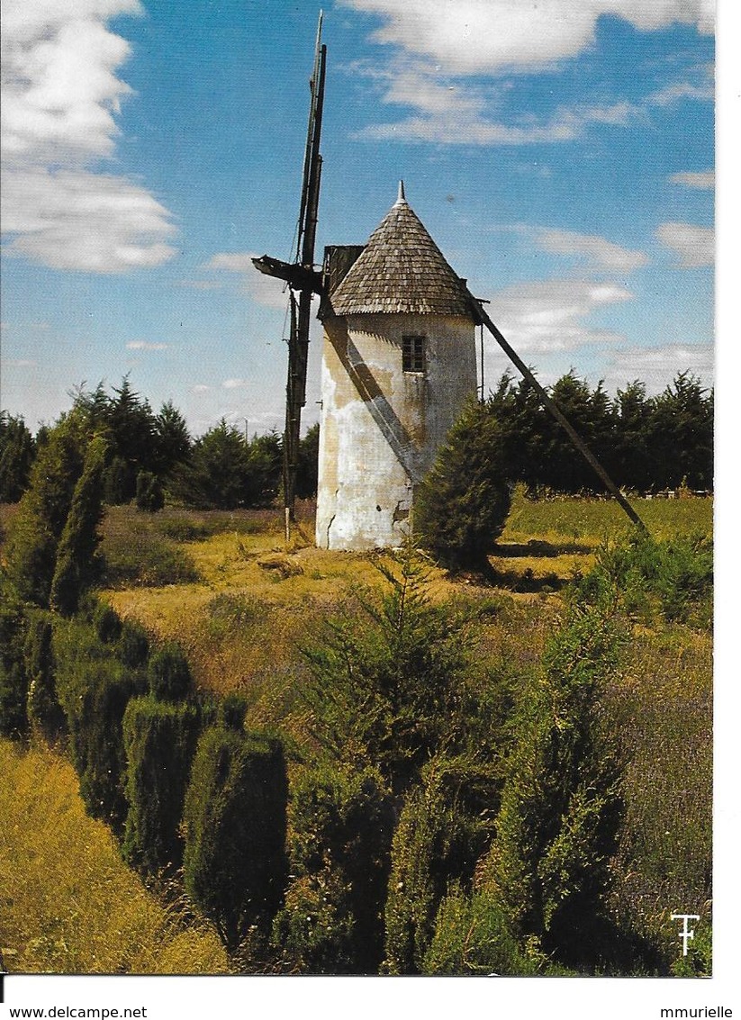 VENDEE-Moulin à Vent Près D'Angles.......MB - Autres & Non Classés