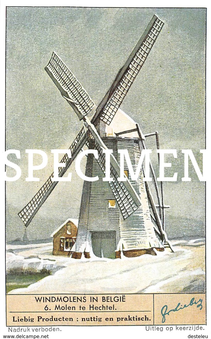 Liebig Kaartje  6 Molen Te  Hechtel - Hechtel-Eksel