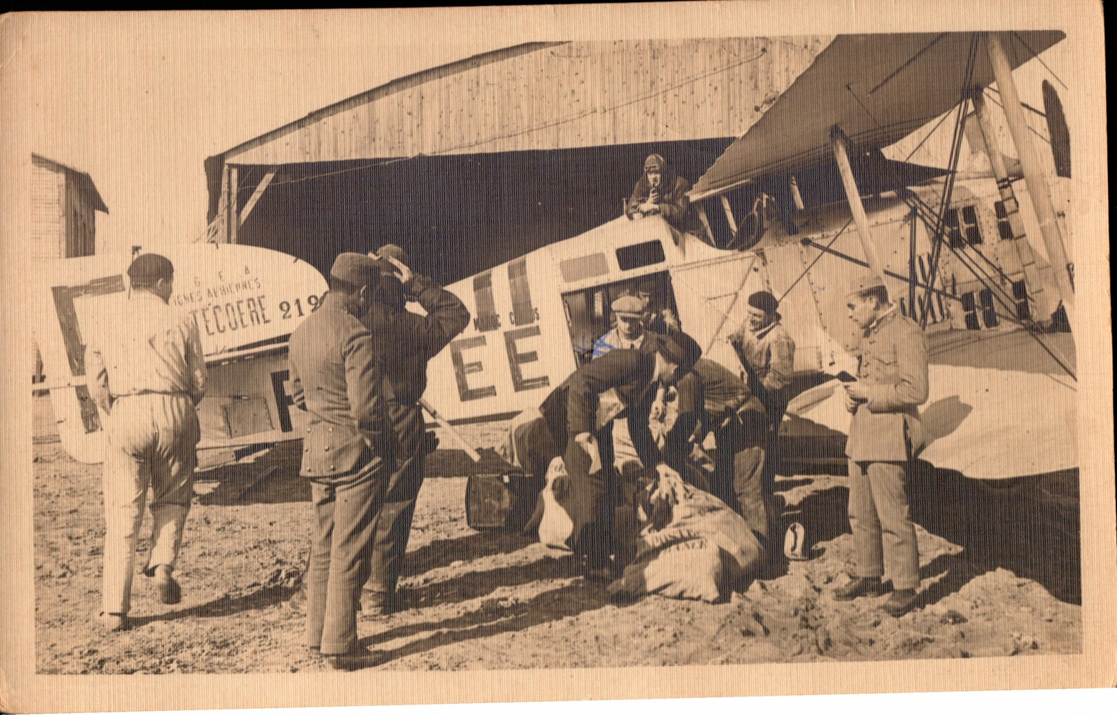 AVIATION BARCELONE ESPAGNE AEROPOSTALE  LATECOERE  CARTE PHOTO - Aviation