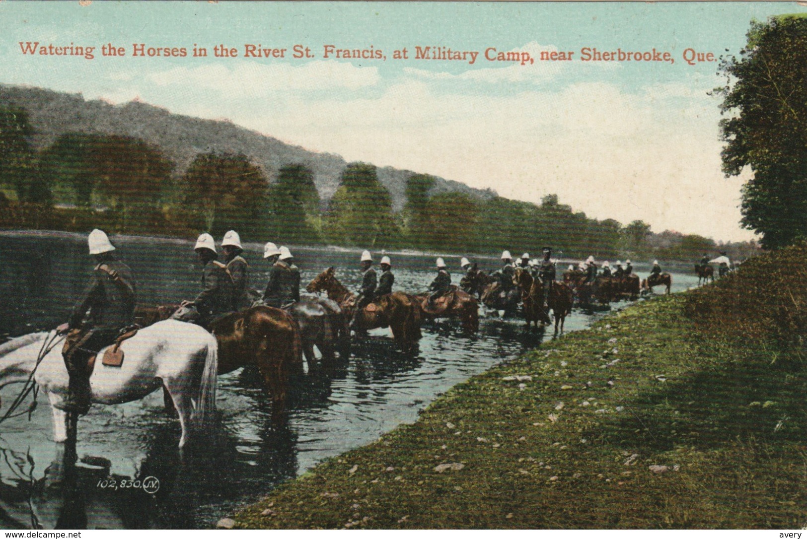 L'eau Pour Les Chevals Dans Riviere Saint Francois, Au Camp Militaire, Pres De Sherbrooke, Quebec - Sherbrooke