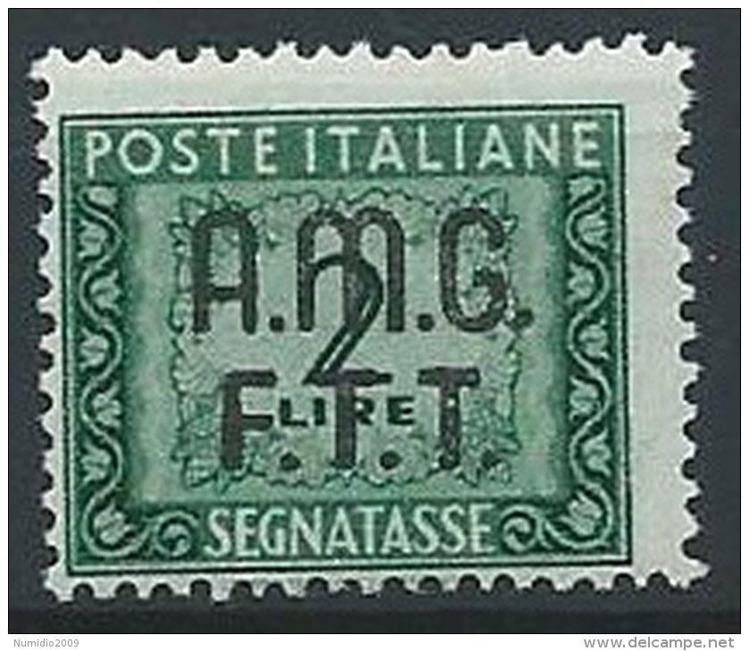 1947-49 TRIESTE A SEGNATASSE 2 LIRE MNH ** - ED084-2 - Postage Due