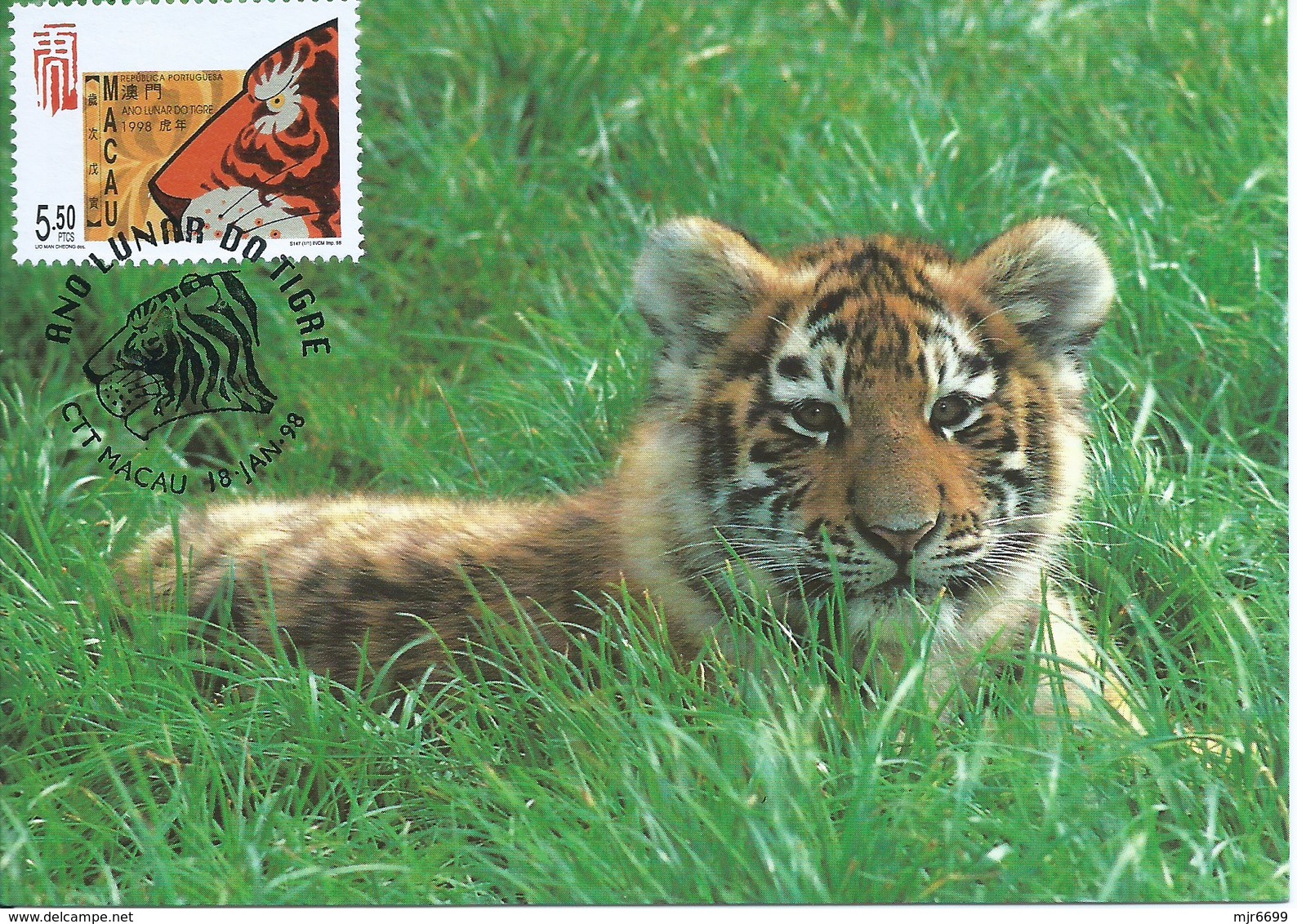 MACAU 1998 LUNAR YEAR OF THE TIGER MAXIMUN CARD, WWF CARD - Cartoline Maximum
