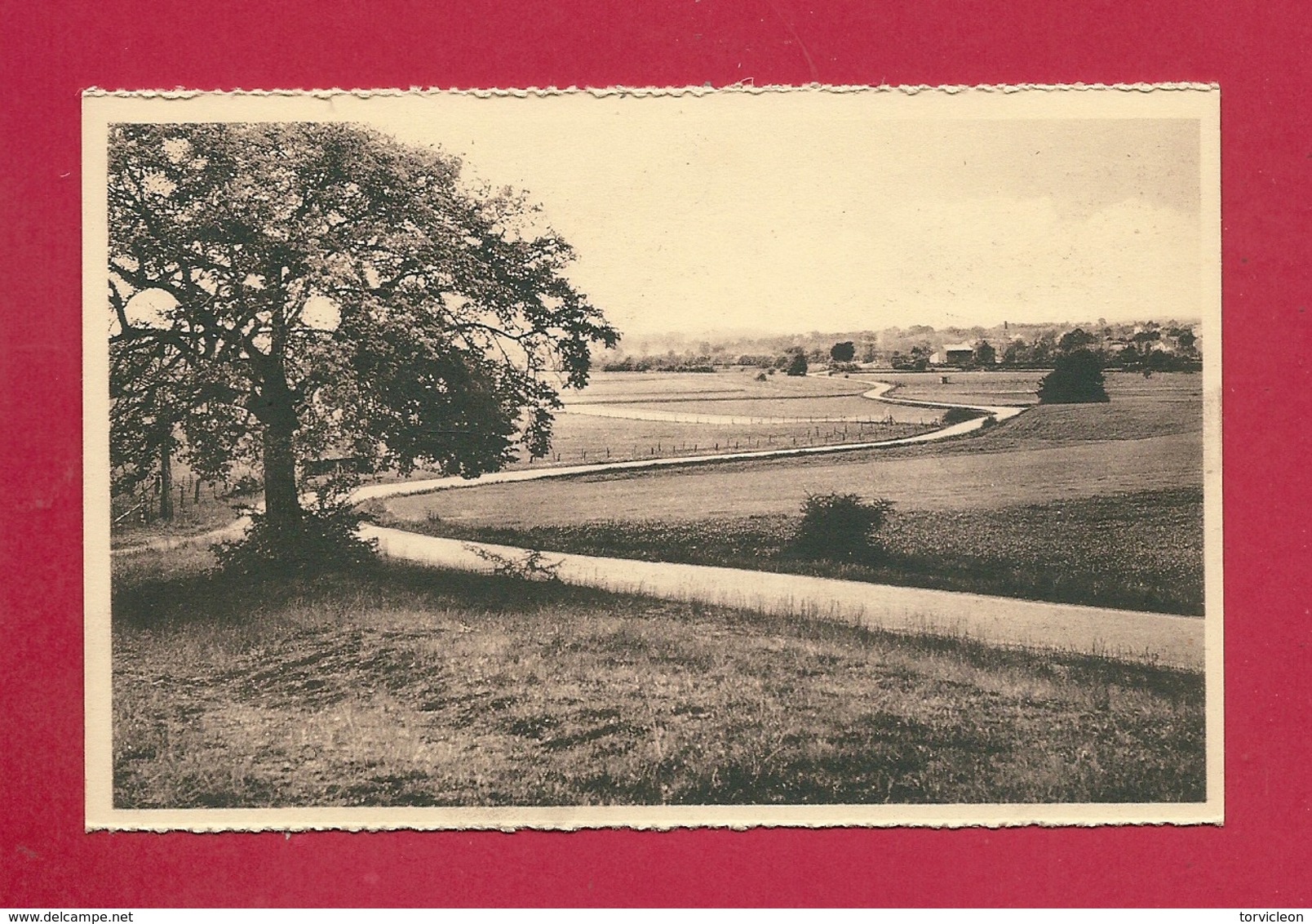 C.P. Éprave = Panorama Vu De La ROUGE  CROIX - Rochefort