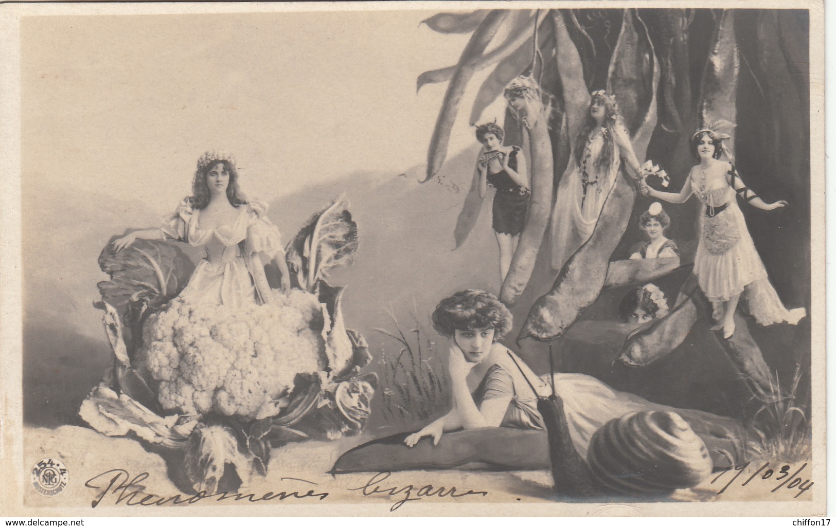 RARE SURREALISME Photo Montage FEMMES  Légumes  ROBINNE    NPG - Mujeres